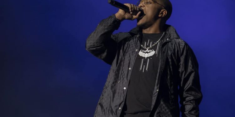 Mayotte: fights, stones … ten injured during a concert by rapper Niska which turns into a riot