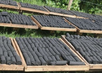 Cameroun : Du gaz bio produit à partir du charbon de bois