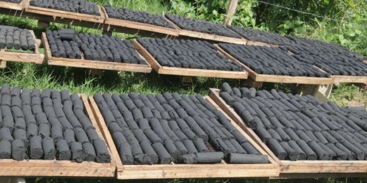 Cameroun : Du gaz bio produit à partir du charbon de bois