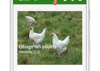 Cameroun : Iwolonet, le réseau social pour les professionnels du secteur agricole