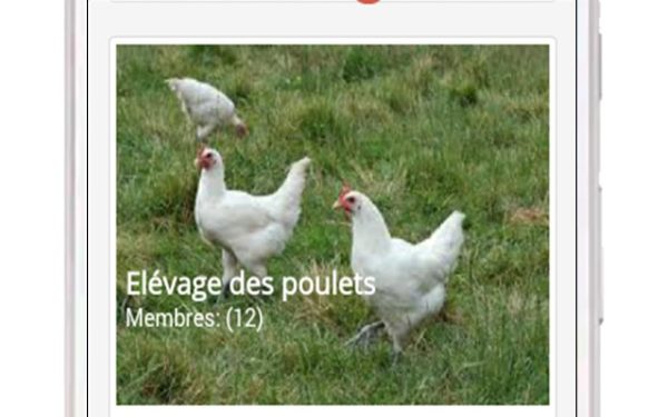 Cameroun : Iwolonet, le réseau social pour les professionnels du secteur agricole