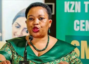 En Afrique du Sud, le KwaZulu-Natal veut convertir des écoles primaires en centres de formation professionnelle