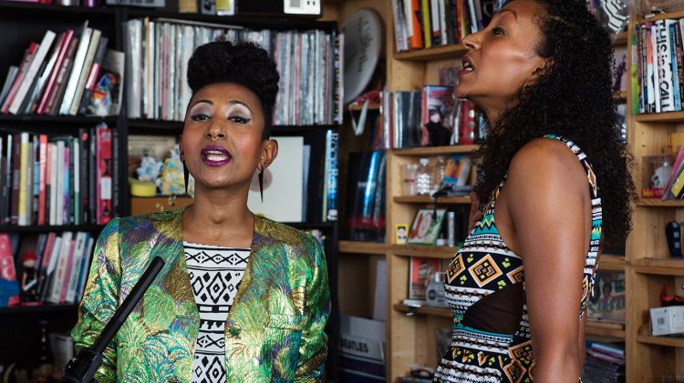 In her latest album, Alsarah talks about migration, but also about her roots. © Chronic Pics